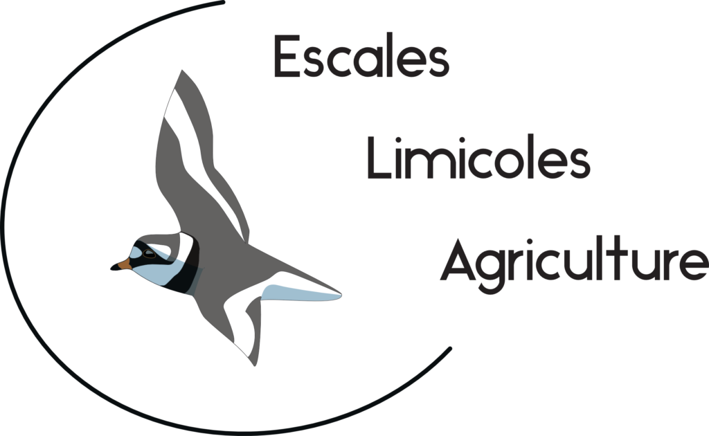 Logo_Ela